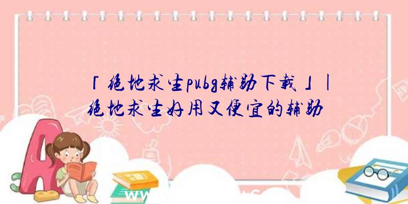 「绝地求生pubg辅助下载」|绝地求生好用又便宜的辅助